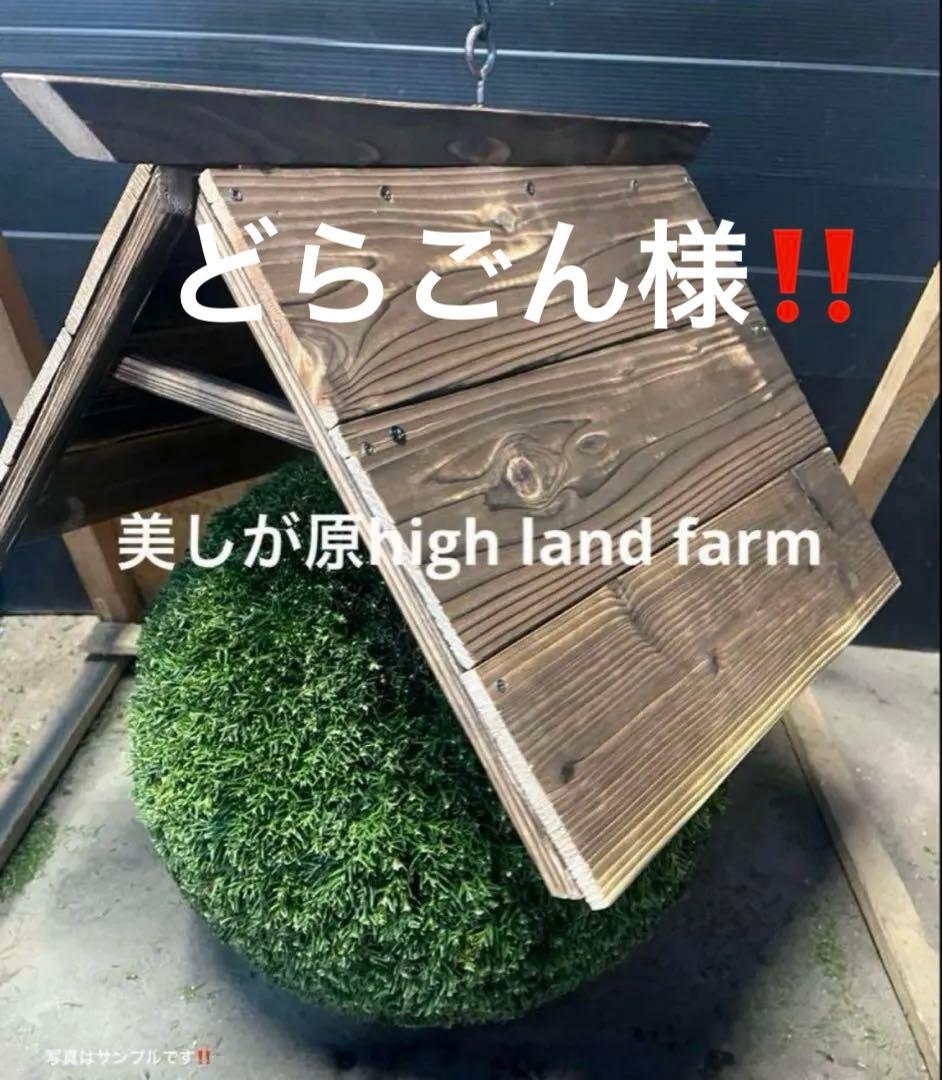 杉玉　約30センチ‼️お客様ご注文品　木札紐ご希望　♪ 吊り下げ木札 | 楠玉屋