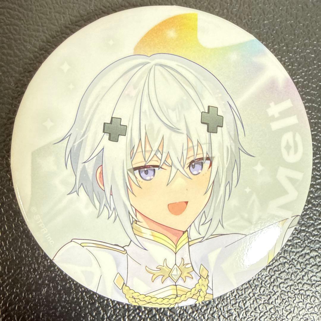 Melt すとふぇす 2026 等身 めておら 缶バッジ 27点 - メルカリ