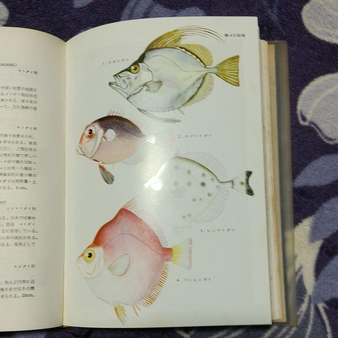 原色日本魚類図鑑 改訂版 - メルカリ
