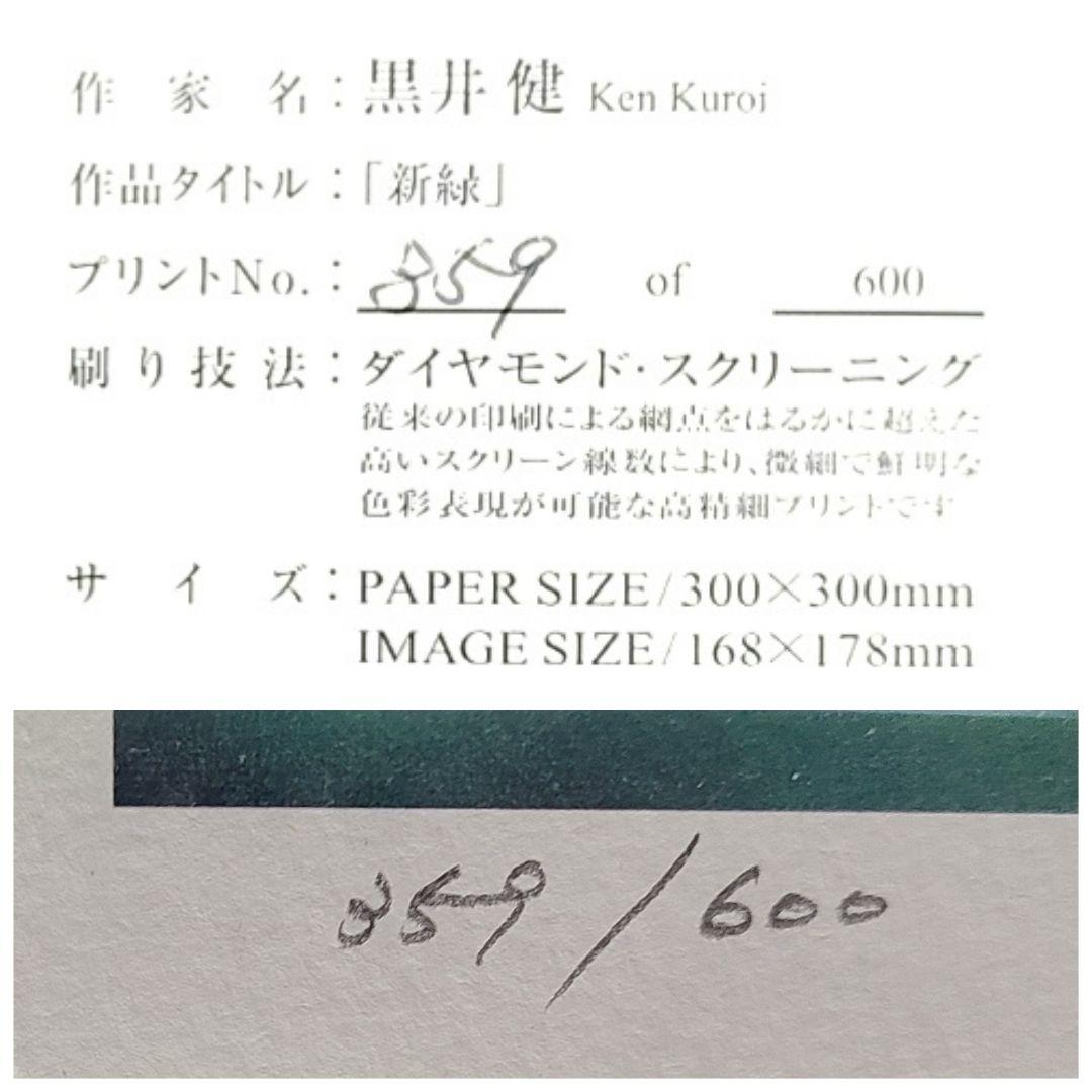 黒井 健 ダイヤモンドスクリーニング 額装 直筆エディションサイン
