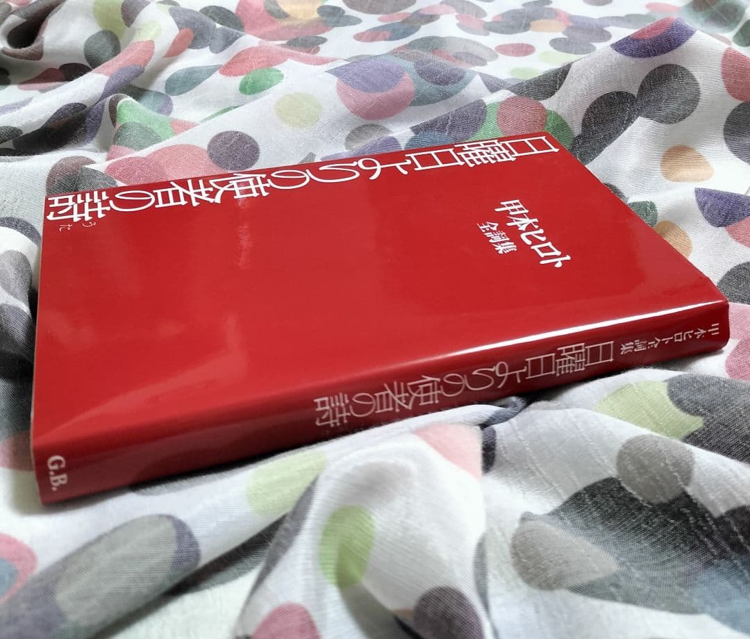 ロックの神様✨日曜日よりの使者の詩 甲本ヒロト全詩集✨2007年初版本G.B.