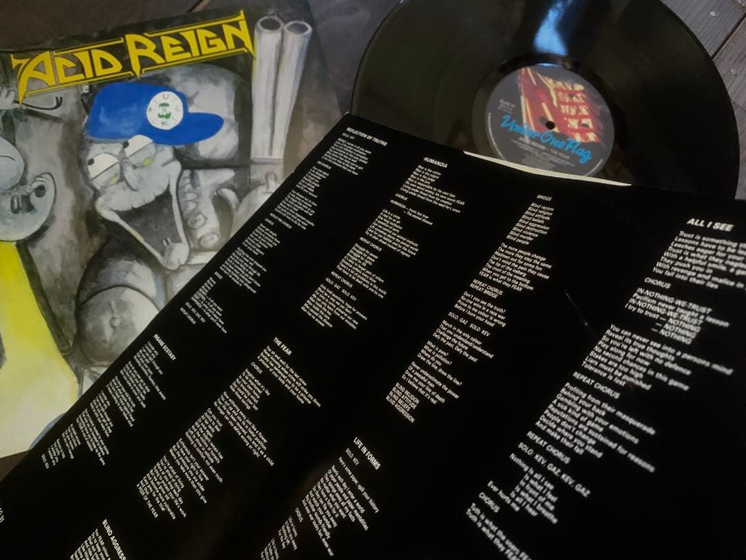 ACID REIGN - The Fear - メルカリ