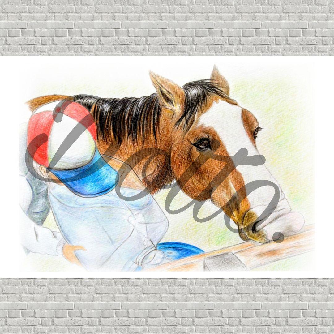 メイショウドトウ】No.13 イラスト ポストカード 色鉛筆画 JRA 競走馬