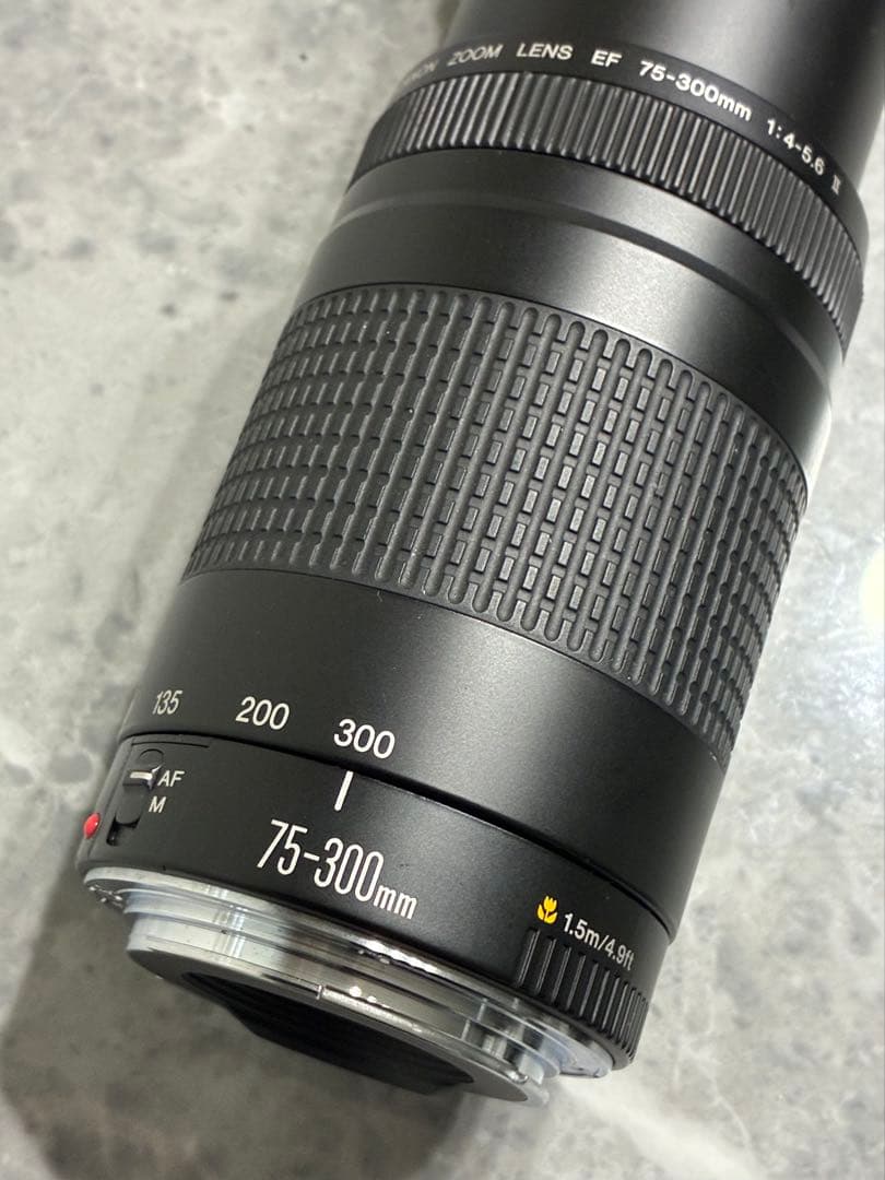 ⭐️美品⭐️キャノン Canon EF 75-300mm F/4-5.6 II