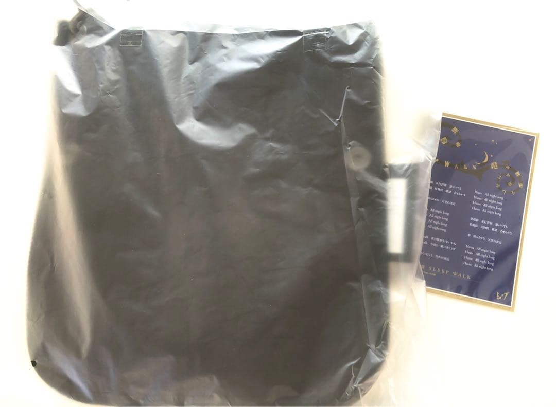 y*o様 限定 SLEEPWALK CAT サコッシュ バッグ 今井寿 BUCK - メルカリ