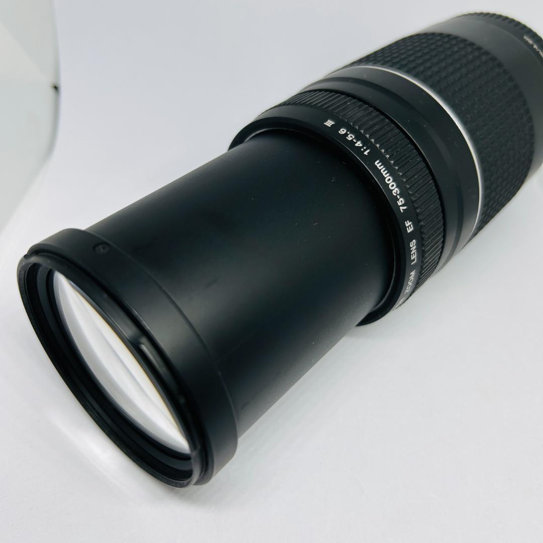 Canon EF 75-300mm f/4-5.6 III 望遠ズームレンズ