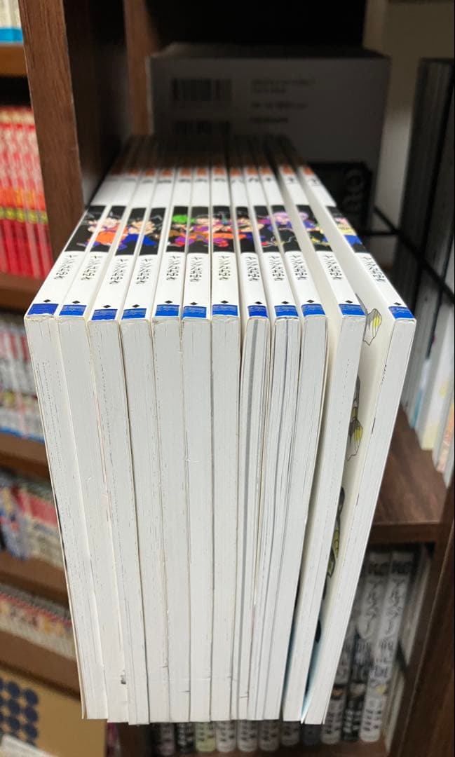 【希少】同人誌　その後のDB 真　DBAFTER 12冊セット　ヤングなおゆき