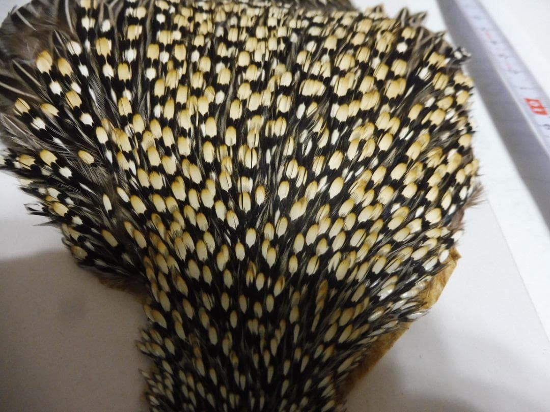 ジャングルコックのケープ フライタイイング