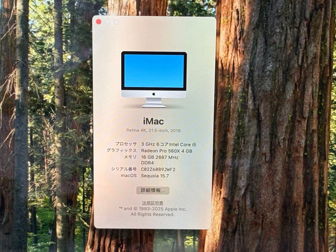 ⭐️M997A⭐️iMac Retina 4k 21.5inch 2019