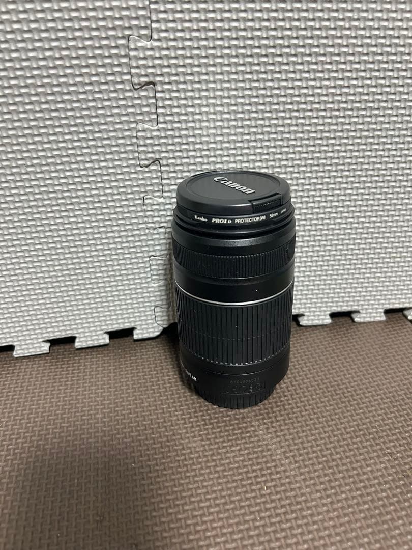 Canon EF-S 55-250mm f/4-5.6 IS Ⅱ