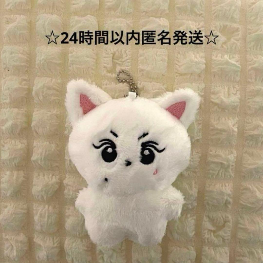 ENHYPEN エナイプン ジョンウォン ぬいぐるみ 10cm ドール - メルカリ