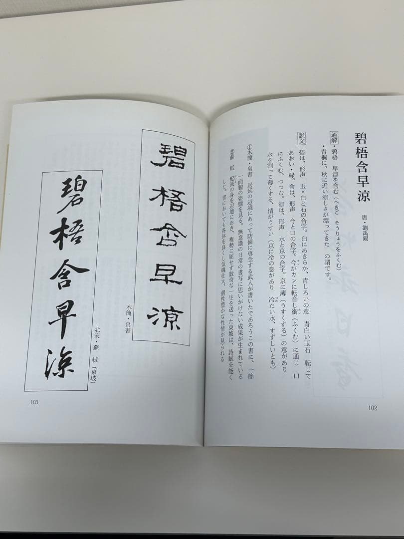 五字名句墨場必携 四季篇 ワイド版 木耳社 - メルカリ