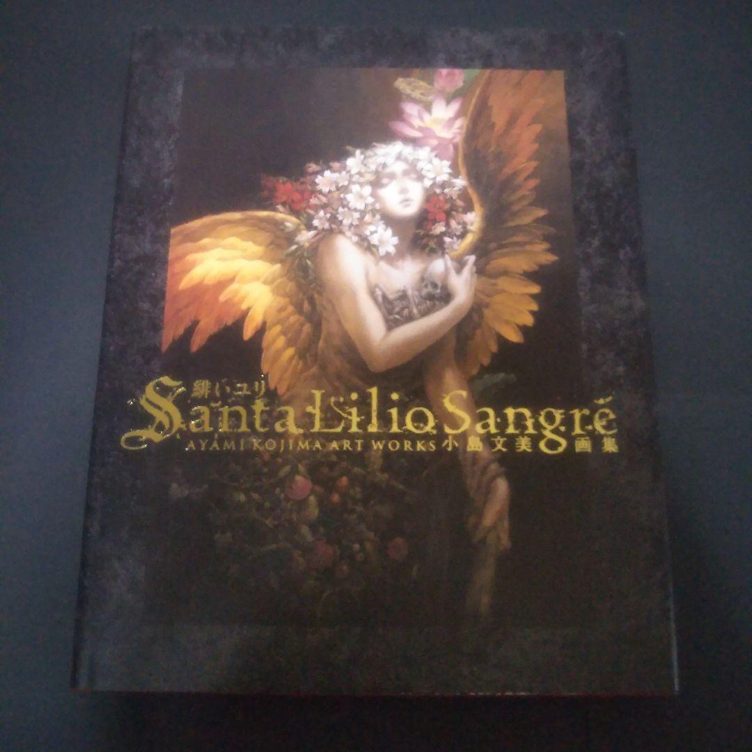 Santa Lilio Sangre緋いユリ 小島文美 画集 悪魔城ドラキュラ - メルカリ
