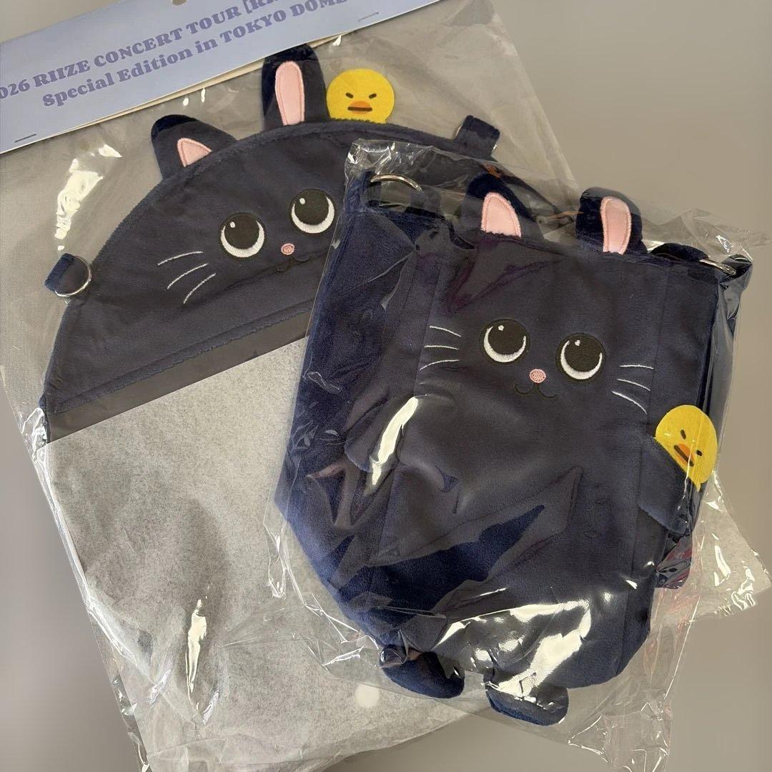 RIIZE FANLIGHT ファンライトバッグ うちわホルダー ウォンビン - メルカリ