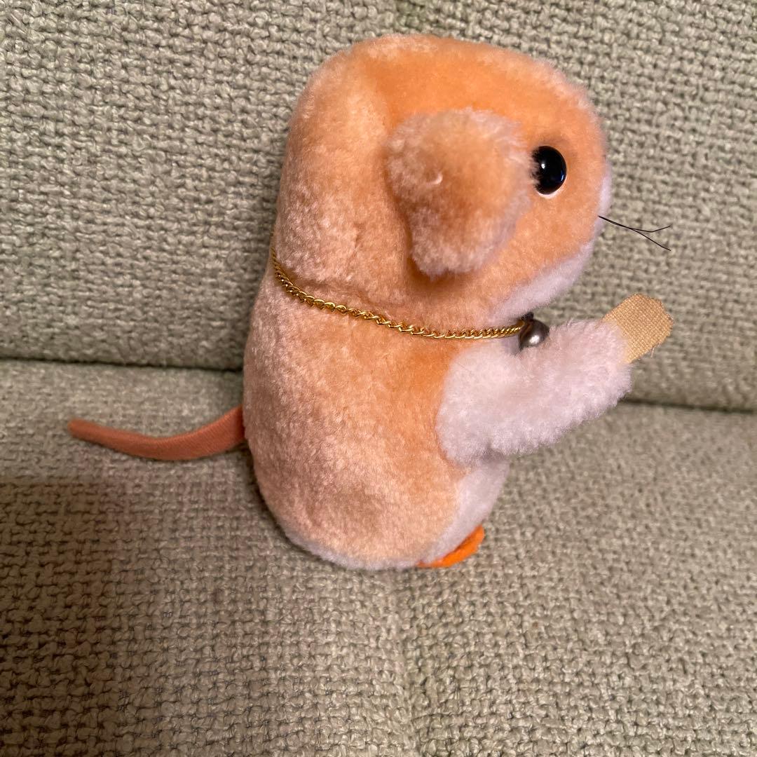 南の島のルーシー✨わんぱくモッシュ - メルカリ