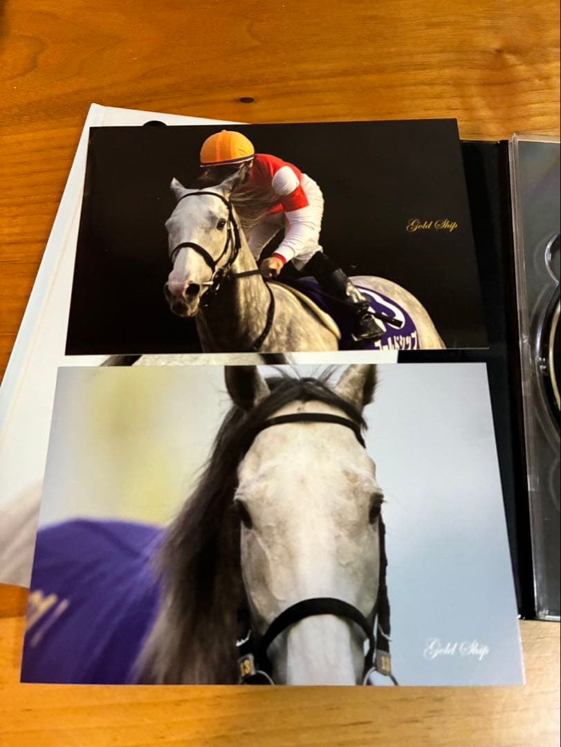 ゴールドシップ 写真集 & DVD 黄金の帆を揚げて 初回盤 絶版