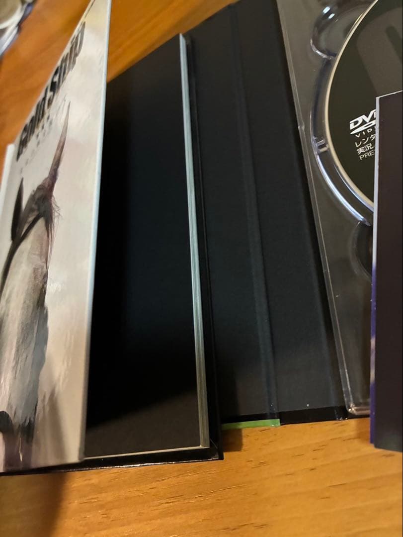 ゴールドシップ 写真集 & DVD 黄金の帆を揚げて 初回盤 絶版