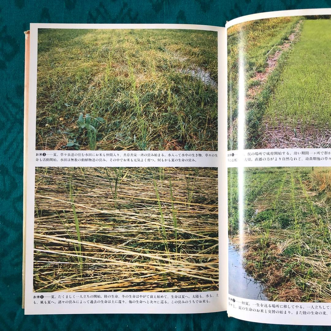 絶版・希少】妙なる畑に立ちて 川口由一