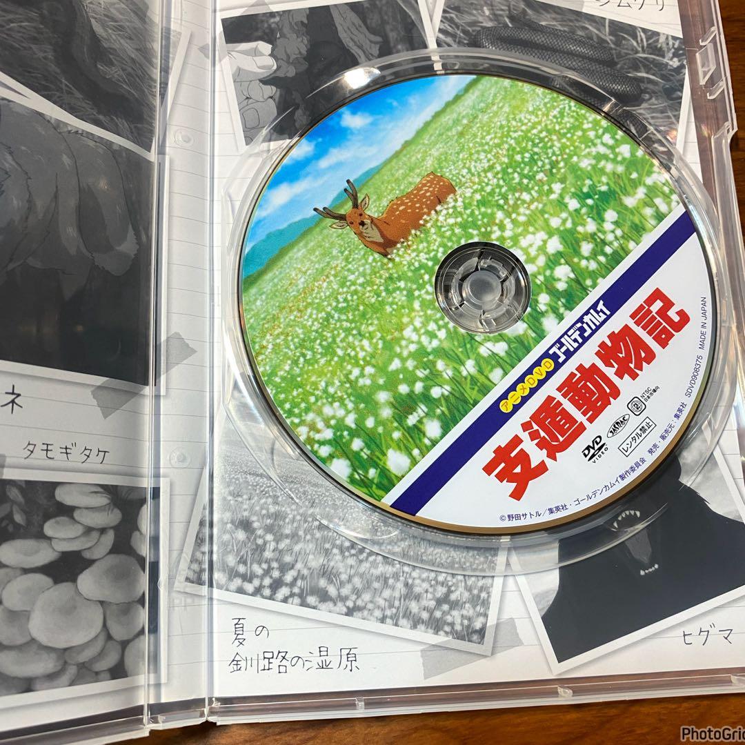 ゴールデンカムイ 23巻 OAD 支遁動物記 DVD同梱版 姉畑支遁 - メルカリ