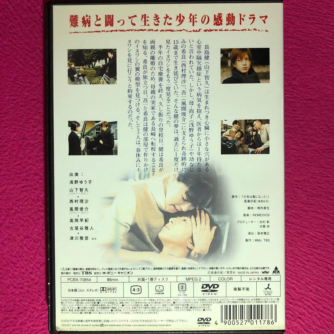 少年は鳥になった DVD☆新品ケースに交換・ディスクの除菌・研磨済み