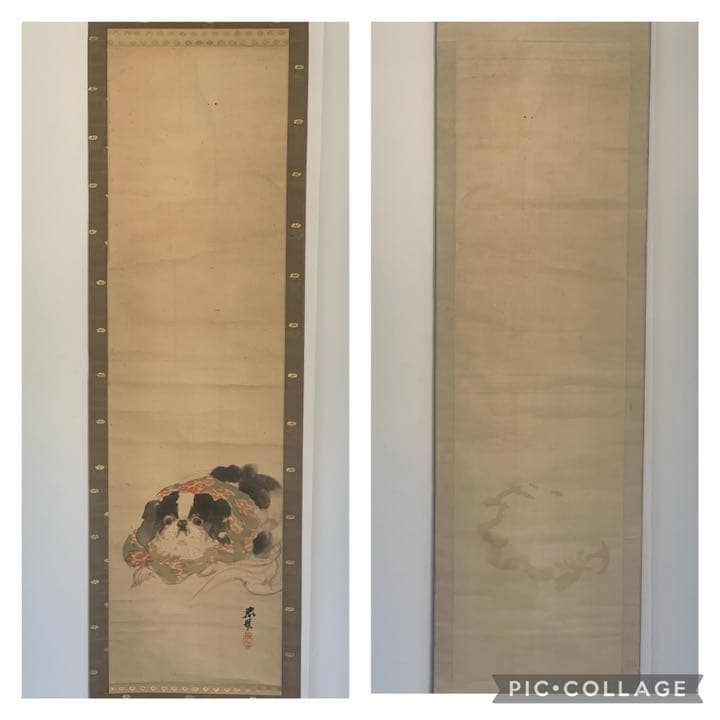 円山四条派 山元春挙 春挙 狆の図 犬絵 犬の絵 掛軸 日本画 - メルカリ