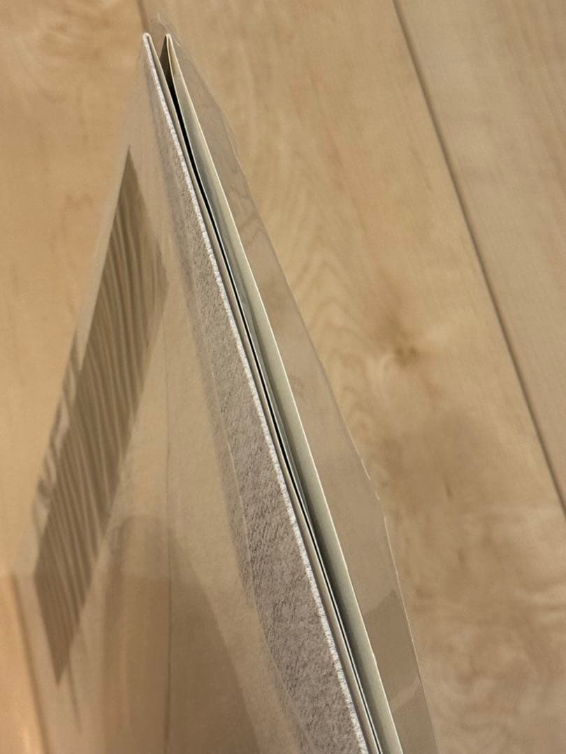 相対性理論 「天声ジングル」　レコード　やくしまるえつこ　新品だが少し訳あり