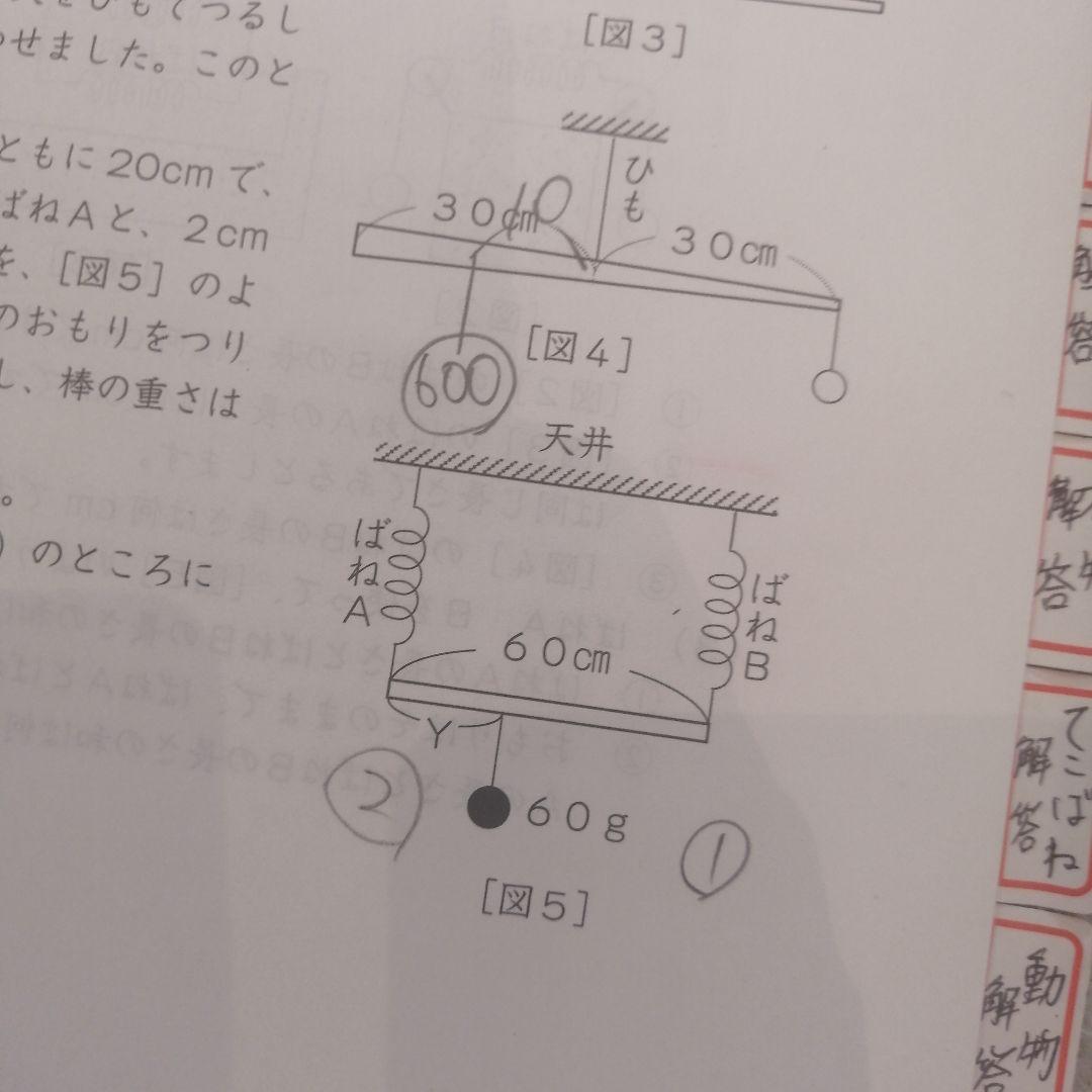 浜学園 2025年度 春期講習 理科 6年生 - メルカリ