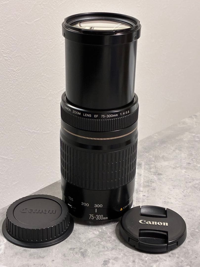 ⭐️美品⭐️Canon EF 75-300mm F/4-5.6 USM