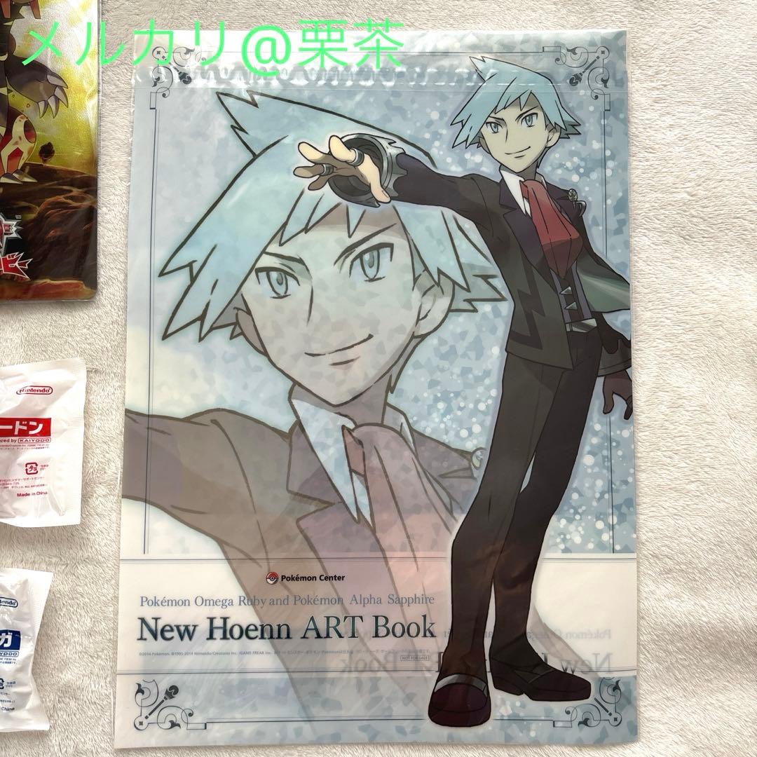 ポケモンORAS】ポケモンセンター限定購入特典 ニューホウエンアート