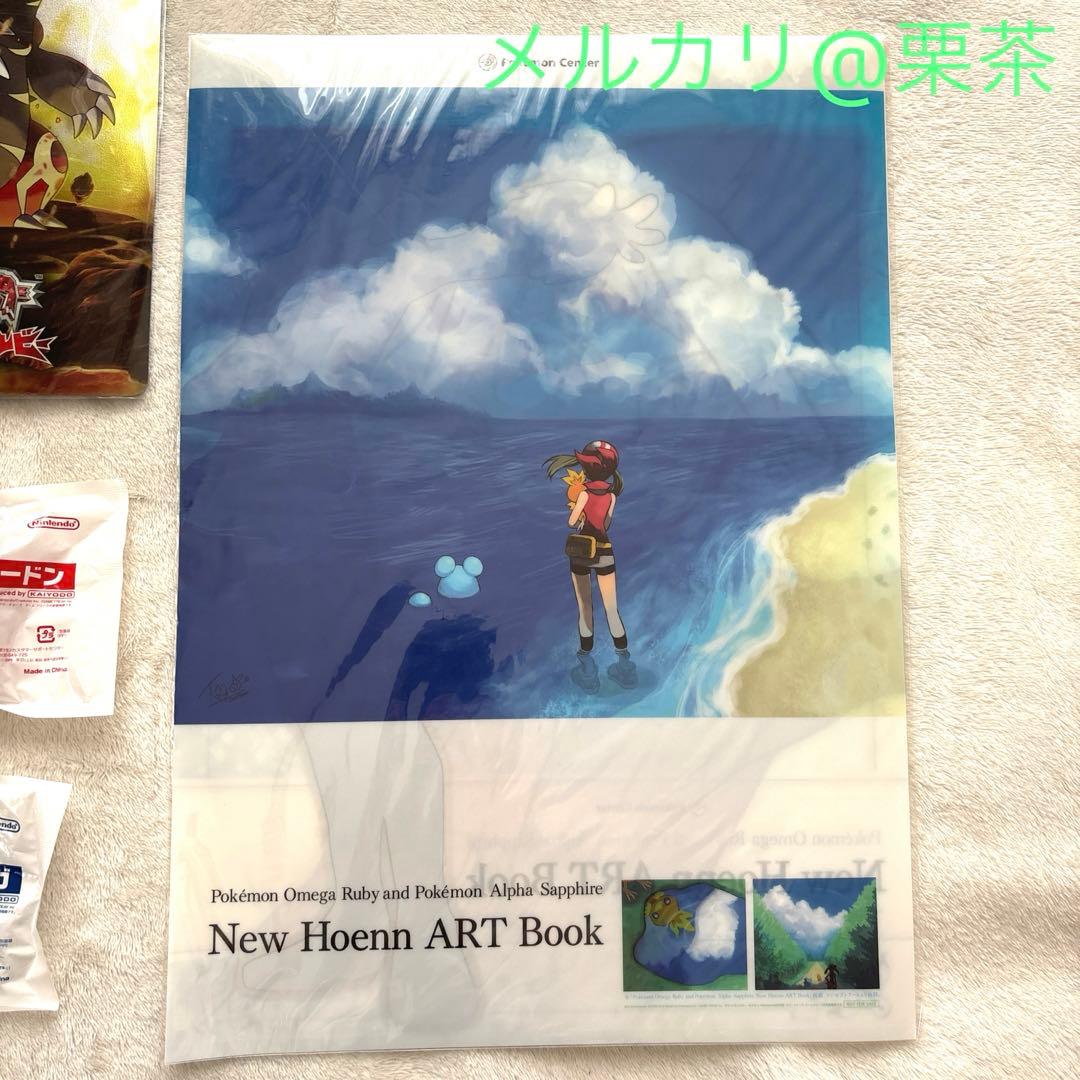 ポケモンORAS】ポケモンセンター限定購入特典 ニューホウエンアート
