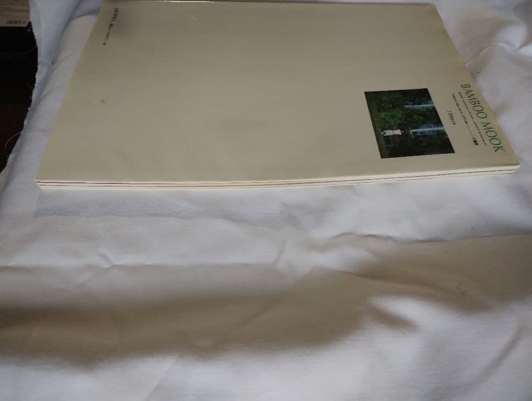 BAMBOO MOOK ROMANCE 写真集