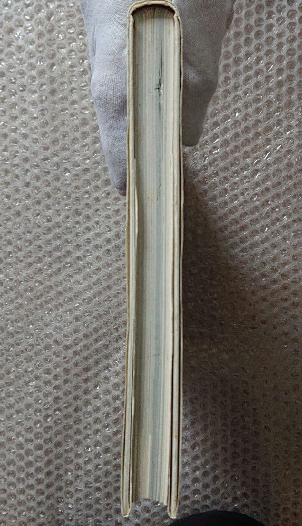 佐伯俊男 淫剣花