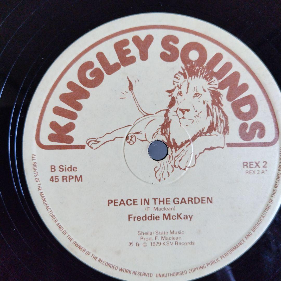 美品オリジナルFreddie McKay/Peace in the Garden 宮城県加美郡加美町のやくらいガーデンで、ネモフィラが見頃だと聞いて