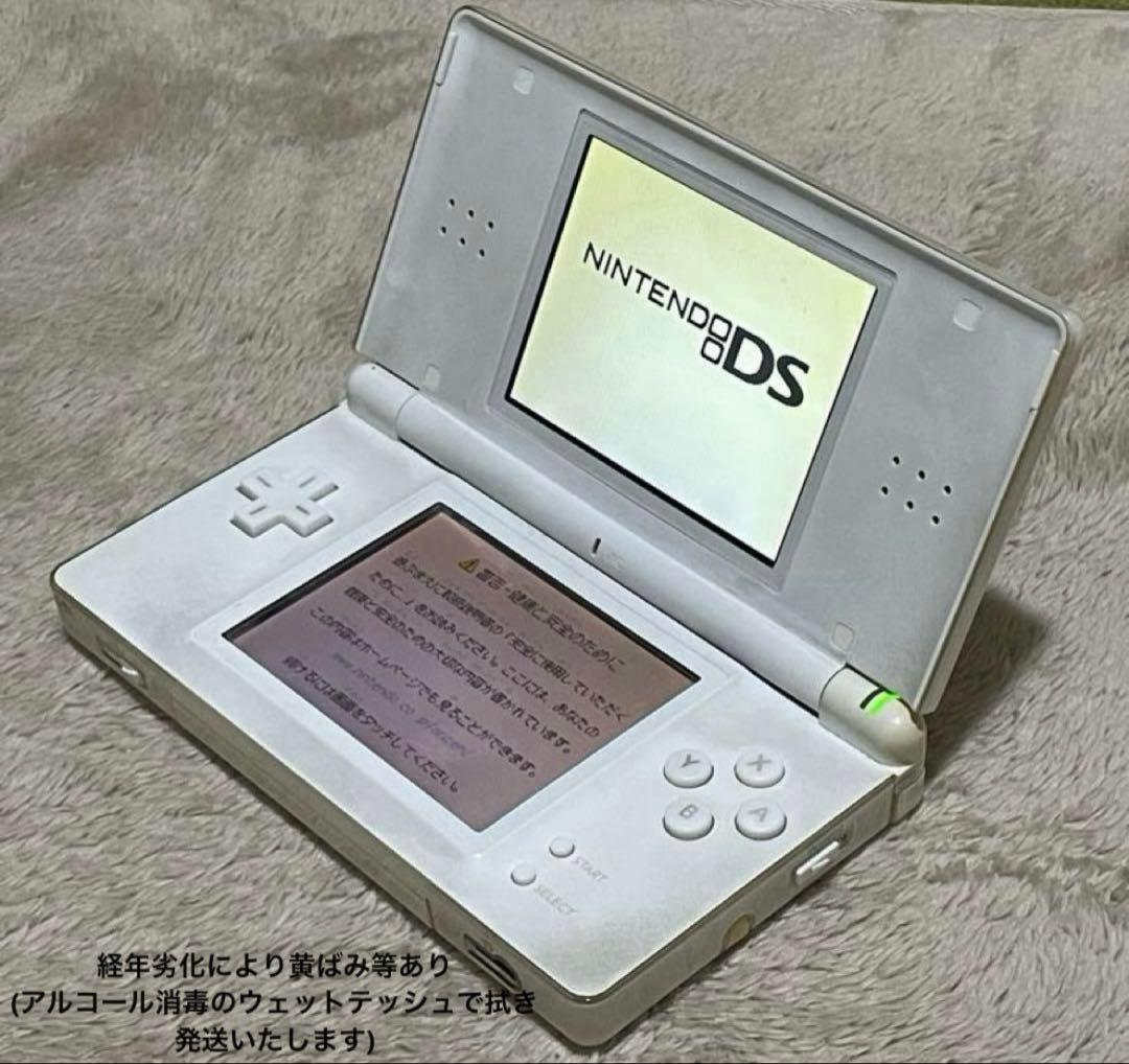 即購入可】ニンテンドーDS Liteとゲームソフトまとめセット 15本