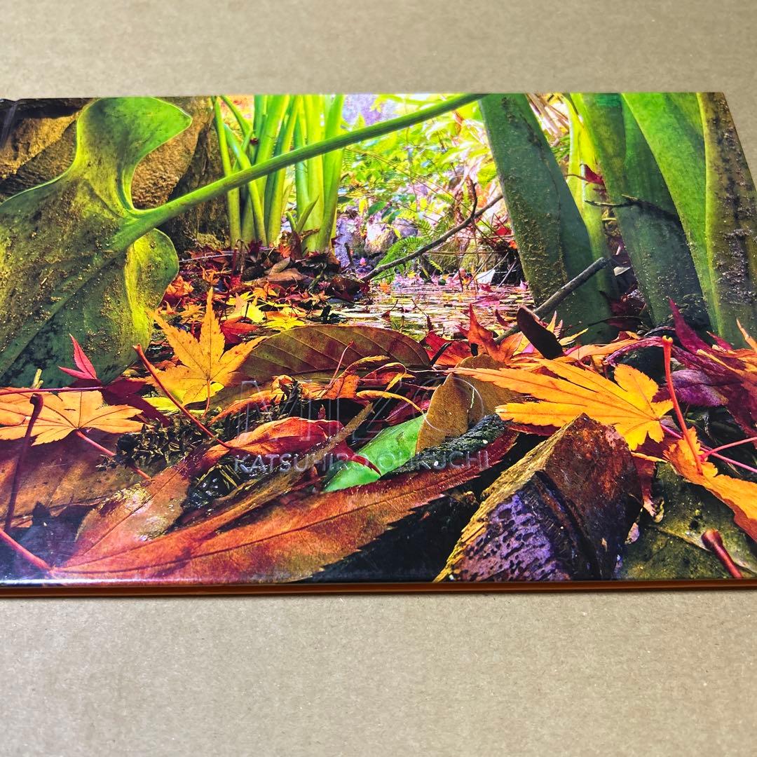 MIZO 大口勝弘 KATSUHIRO OHKUCHI うたかた堂 写真集 - メルカリ