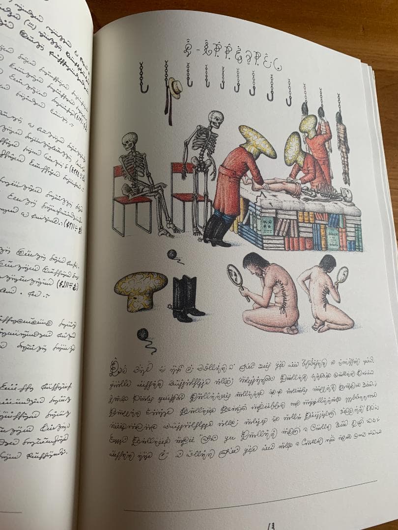 C*N様 Codex Seraphinianus 新しく特別な版 - メルカリ