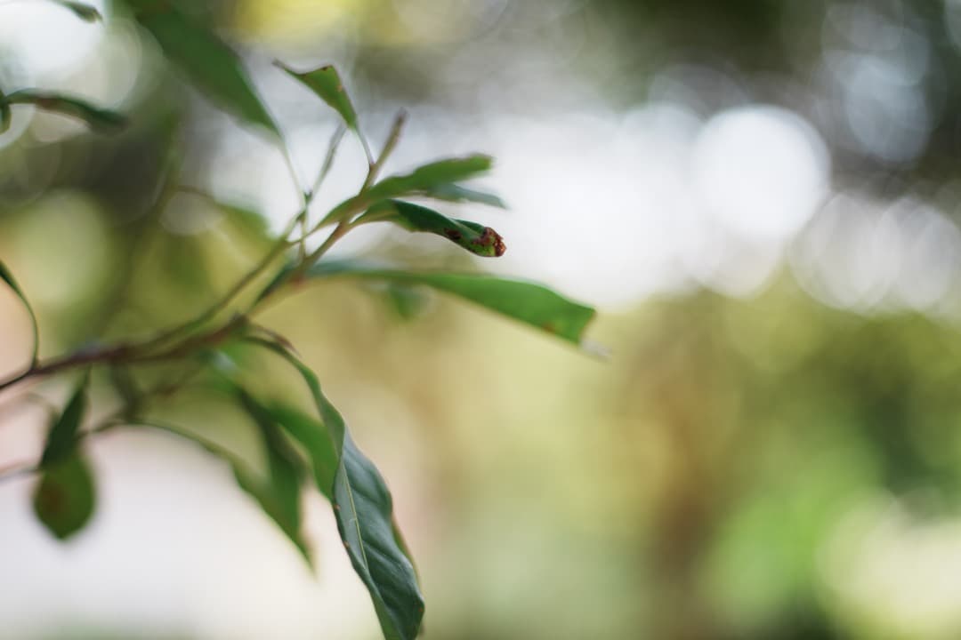 極美品】Carl Zeiss Planar 50mm F1.4 MMJ 970 - メルカリ