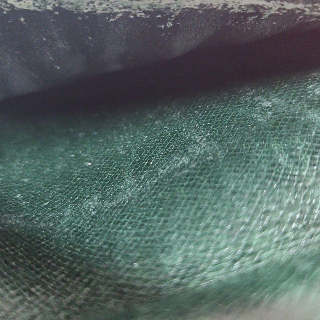 希少】ルイヴィトン タイガ エピセア 二つ折り財布 パスポートケース