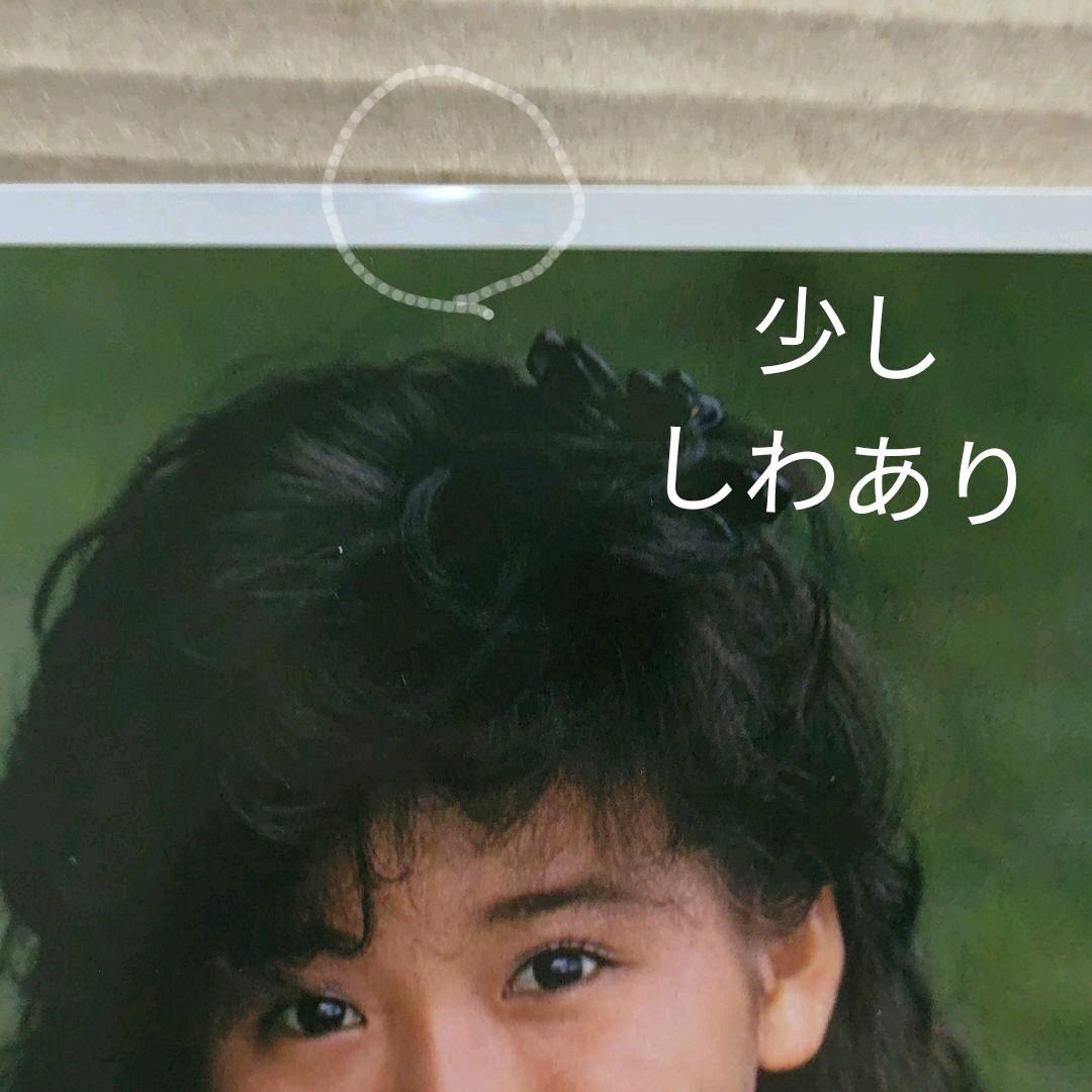 本田美奈子／新品 店頭ポスター POP 80年代当時物店舗用 アイドル 送料