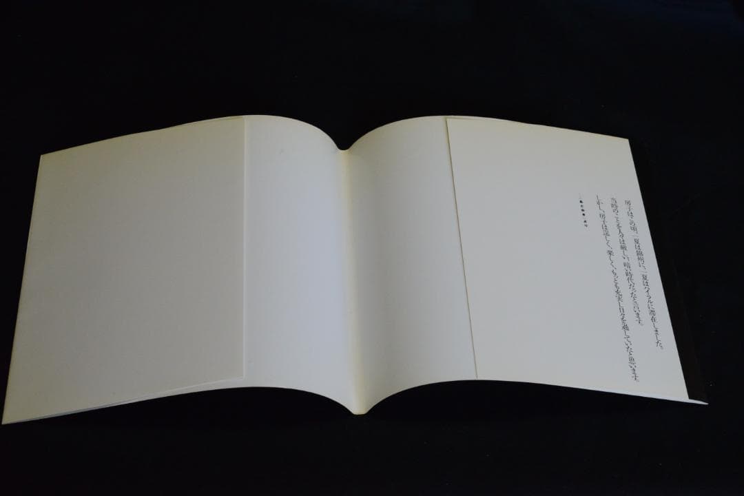 【琥珀色のとき】　鈴木清写真集　１９９０年初版発行　私家版　美品