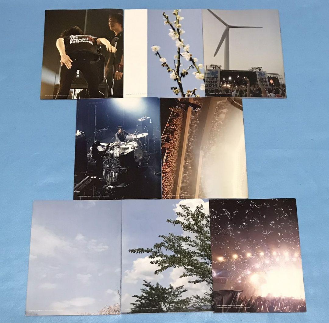 エレファントカシマシ PAO ファンクラブ 会報 vol.50-77 28冊