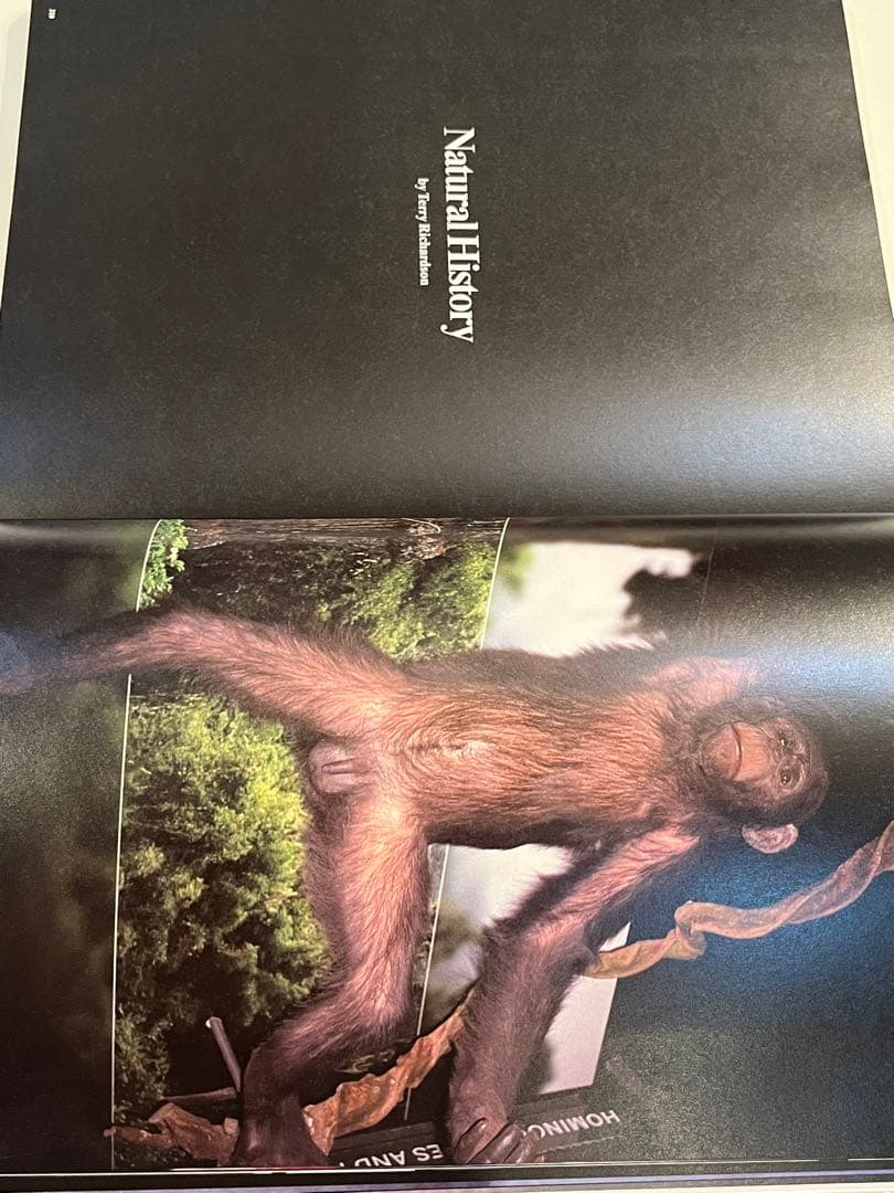 激レア PARADIS No.4 purple 玉三郎 篠山紀信 国宝 - メルカリ