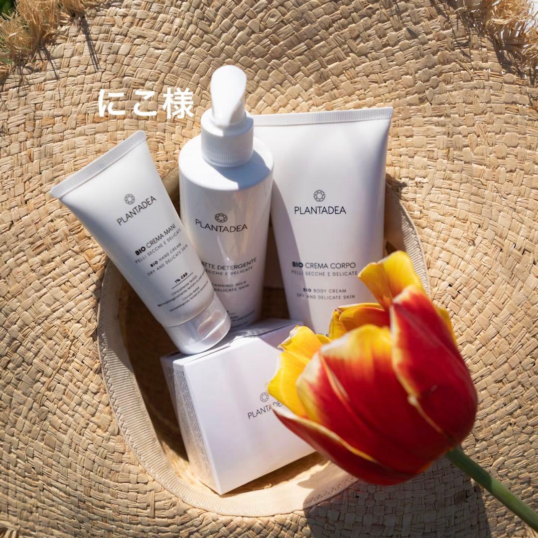 にこ SACC-M12FS-4PL SH - コネクタ - 1424668 | Phoenix Contact