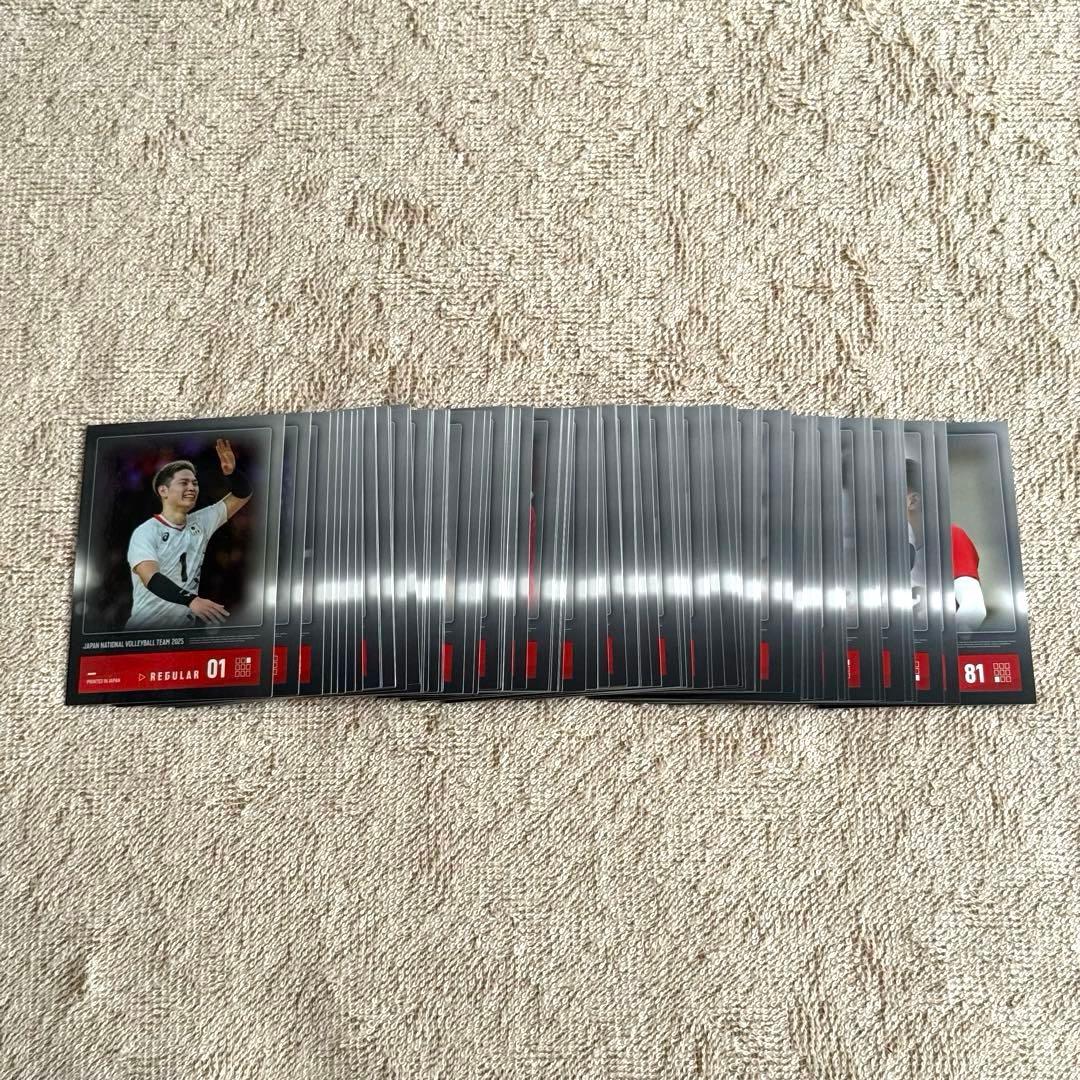 バレーボール男子日本代表2025トレーディングカード レギュラーカード