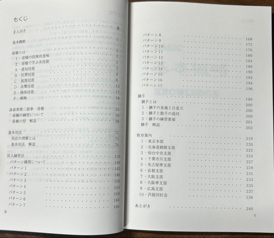 詠春拳 尋橋　川村裕三