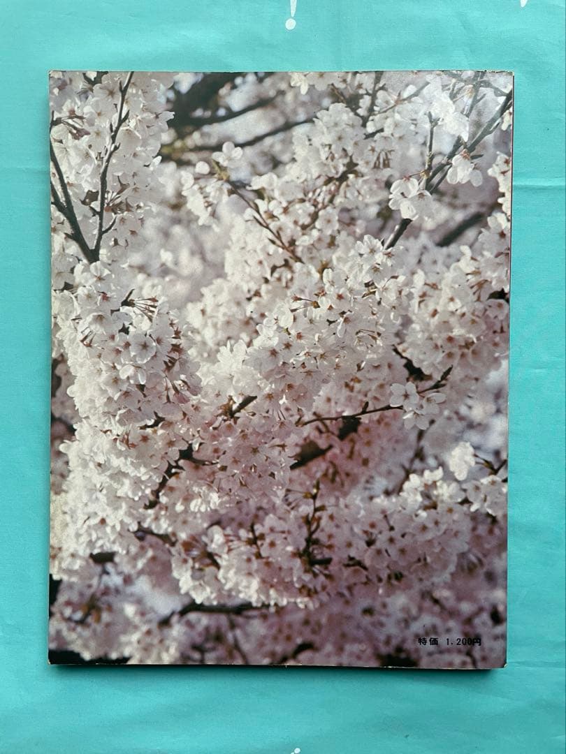 平和と幸福の新社会建設へ 19 69年 写真集 日蓮正宗 創価学会 池田先生