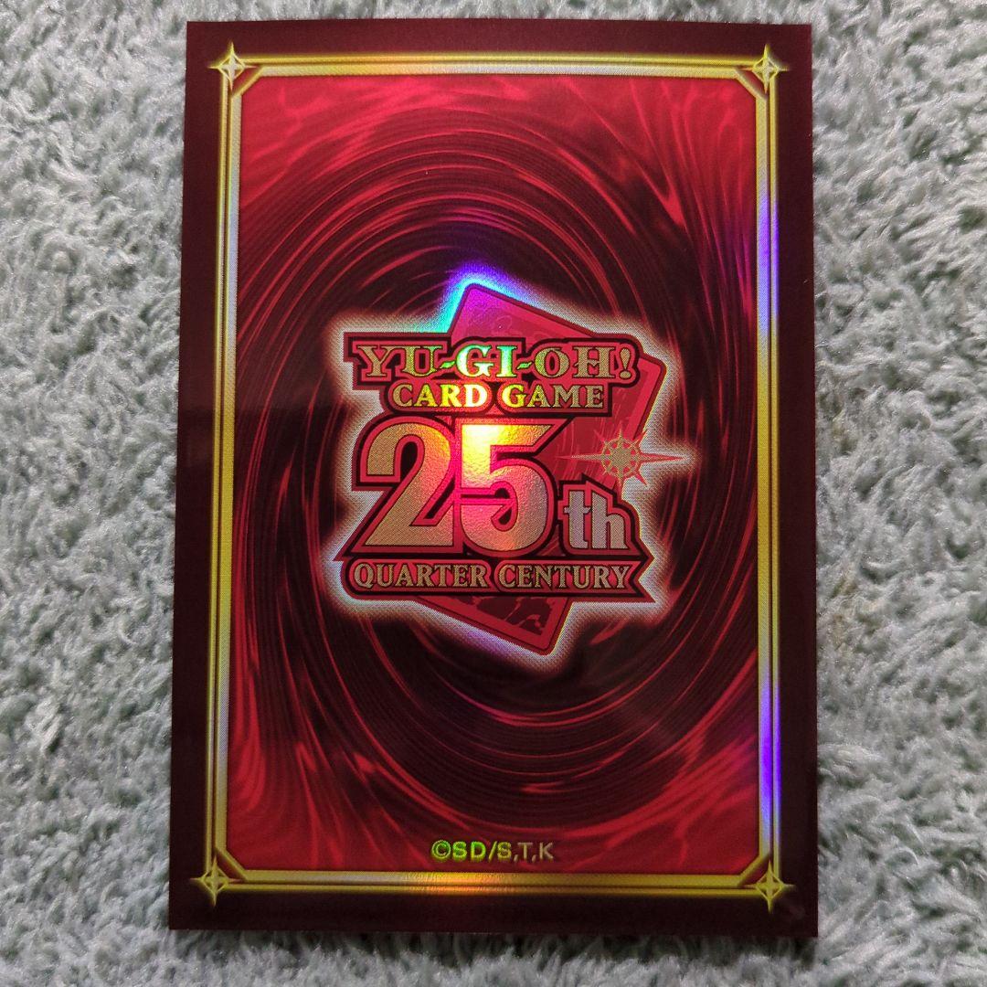 遊戯王 ブラック・フェザー・ドラゴン 英語版1stレリーフ - メルカリ