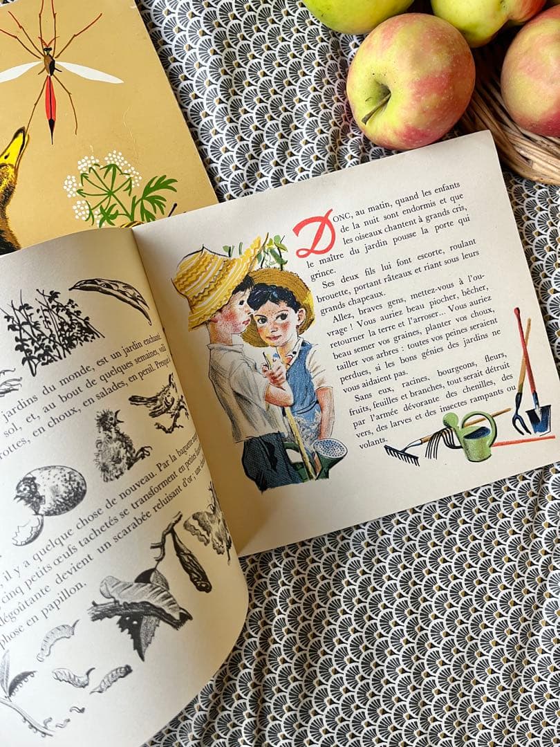 SALE希少フランス名作1900年代カストール絵本動物自然昆虫鳥イラスト