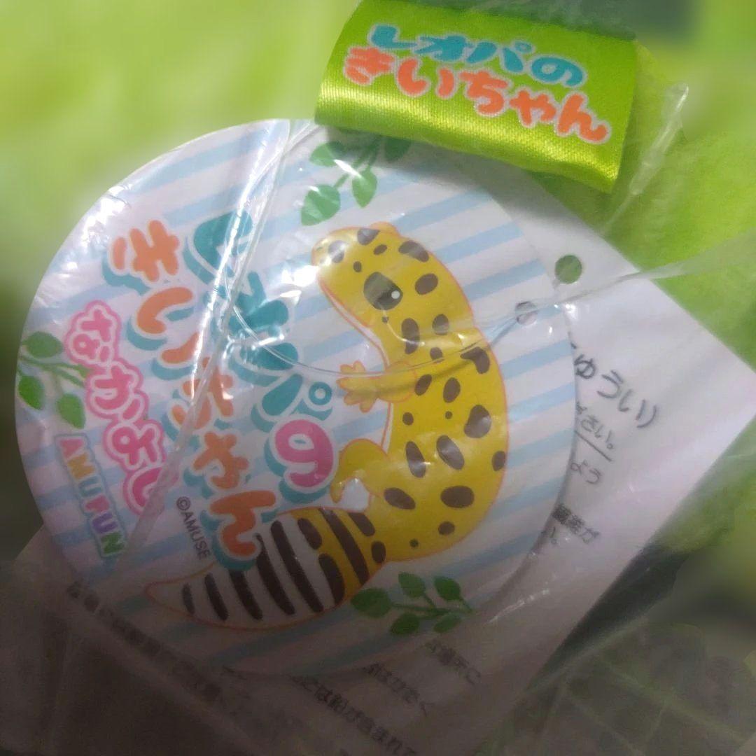 レオパのきいちゃん】なかよし るんるん気分 ウルトラBIG JB ぬいぐるみ