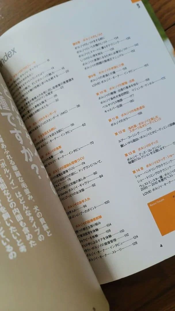 絶版】200p越！ボルゾイの事典(大関京子著)ハウンド狩猟犬好きへ